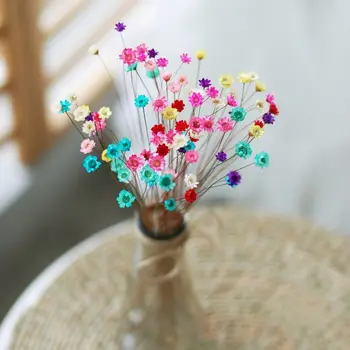 30pcs DIY Crafts Looduslike Taimede Home Decor Lille Kimbud Väike Täht Mini Daisy Kuivatatud Lilled