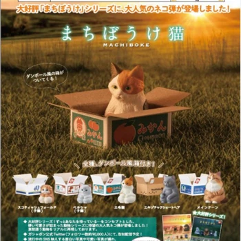 Bandai Origina Jaapan Gashapon Armas Figuriin Kass Kasti Loomade Doll Kawaii Anime, Joonis Gachapon Kapsel Mänguasjad Kingitus