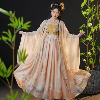 Hiina hanfu tang chezi seelik hanfu naiste pikkade varrukatega särk tikandid autentne igapäevane ülikond kevadel ja suvel ühes tükis skir